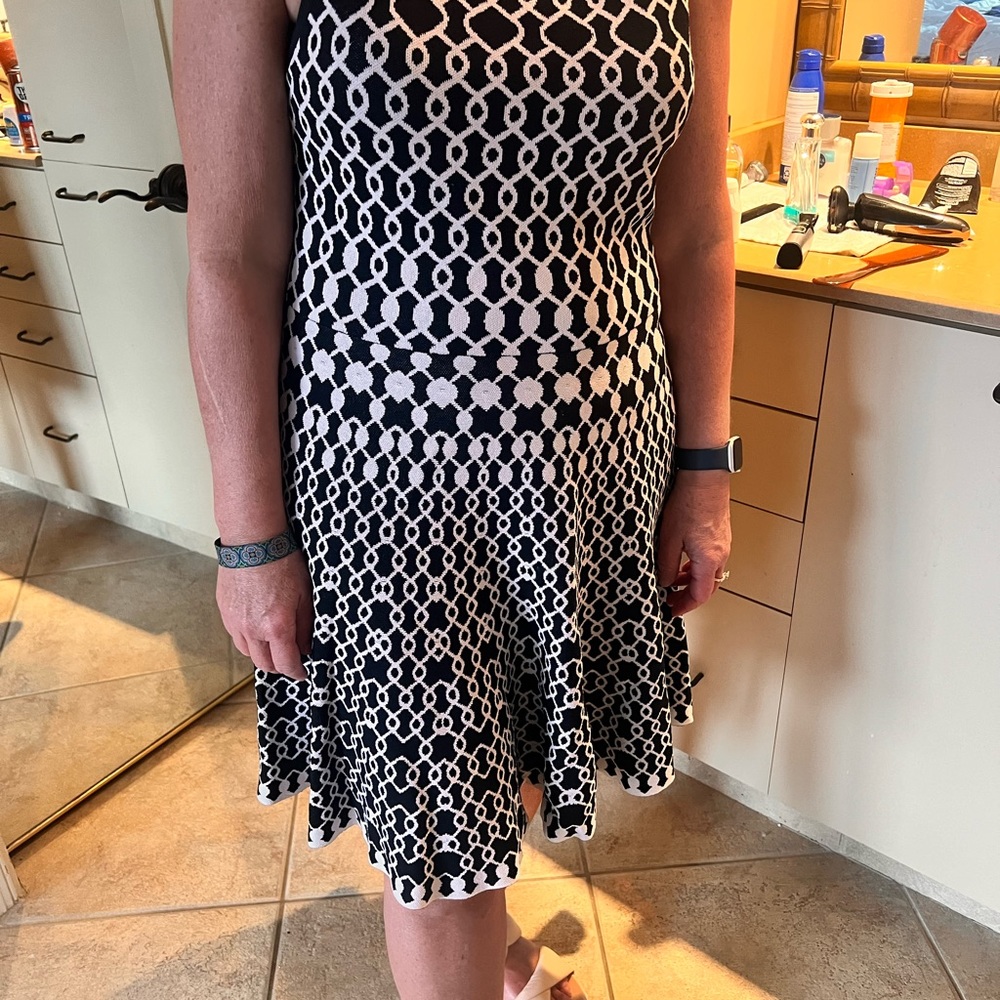 Alive + Olivia knit dress with flared skirt and drop waist